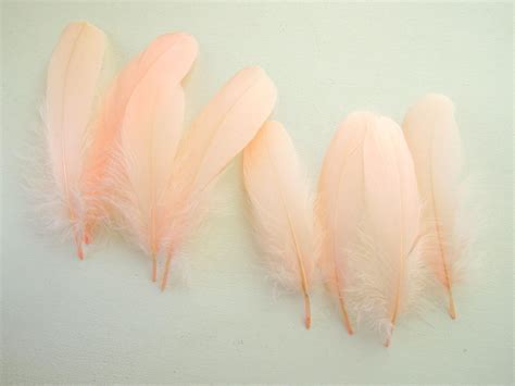 10 Peach Feathers 6 7 Inch Salmon Colour Quills Peach Bird Etsy