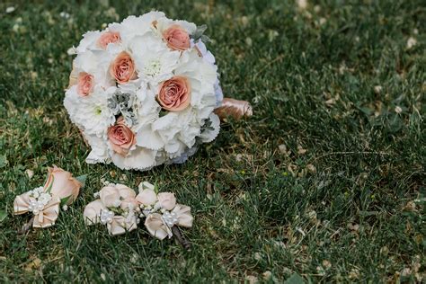 Fria bild bukett gräsmatta ökade blomma bröllop gräs naturen