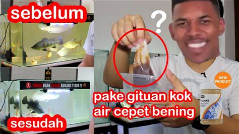 Menjernihkan Air Kuning Di Aquarium Menjernihkan Air Tanin YouTube