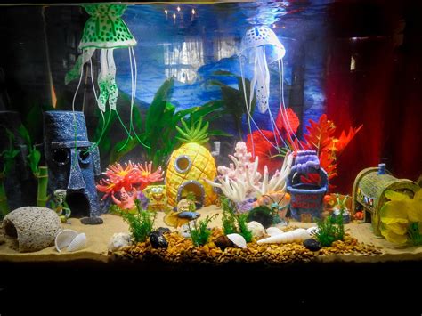 Fish Tank Decorations House at Jacqueline Forgey blog
