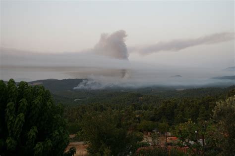 Grecia Incendio Vicino A Dafnoussa Francesco Giuseppe Rigoni