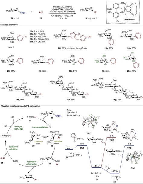 Recent Advances In Transition Metal Catalyzed Glycosyl Cross Coupling