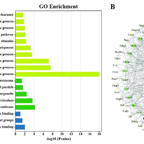 Gene Ontology Go Analysis Of Differential Expressed Genes Degs And Download Scientific