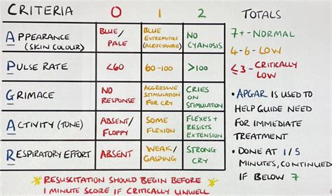 Apgar Scale