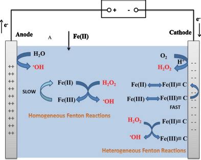 Fenton Reaction Equation