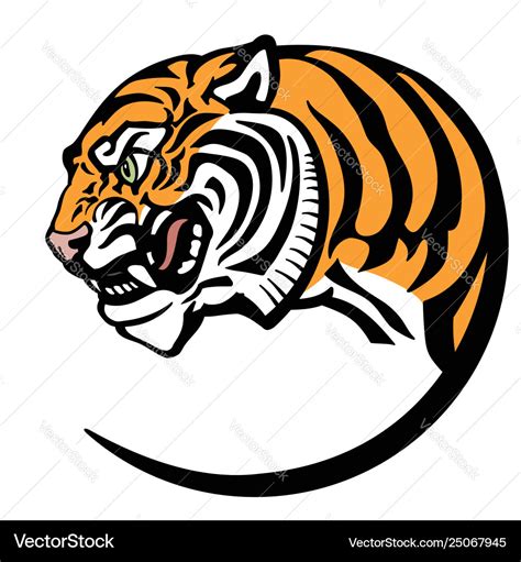 Tiger head Royalty Free Vector Image - VectorStock