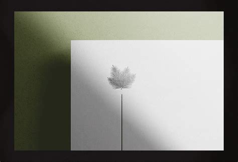 LINA ISTANBUL on Behance