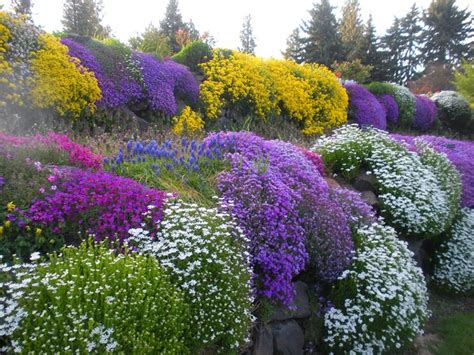 Aiuole Fiorite Perenni Ecco Come Progettarle Villegiardini