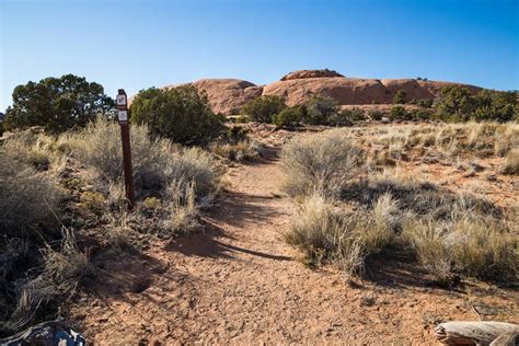 Whale Rock Healthy Trail Guides Intermountain Live Well