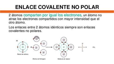 Definicion De Enlace Covalente Polar Y No Polar Marcus Reid