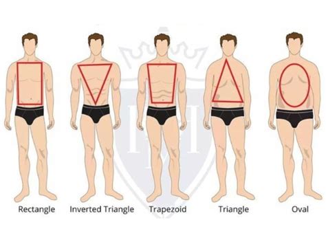 Men Body Type 5 Shapes And How To Identify Which One You Are