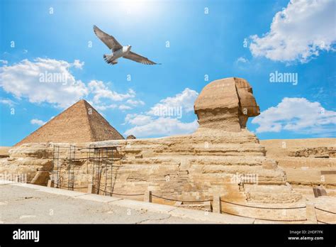 Sphinx Face Reconstruction