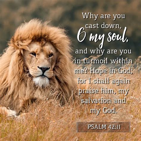 Daily Verse Psalm 4211 Kcis 630