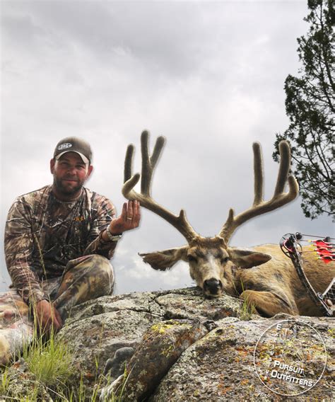 Arizona Trophy Mule Deer Guided Hunts Exclusive Pursuit Outfitters