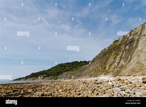 the Jurassic Coast Stock Photo - Alamy