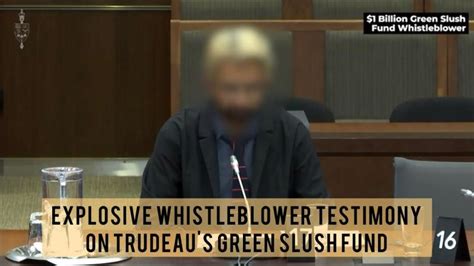 The Finnster Leak: A Whistleblower's Explosive Testimony - uut4mrr