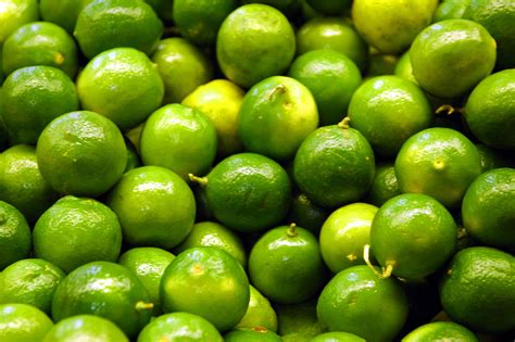Exploring Models with lime · nielsenmark.us