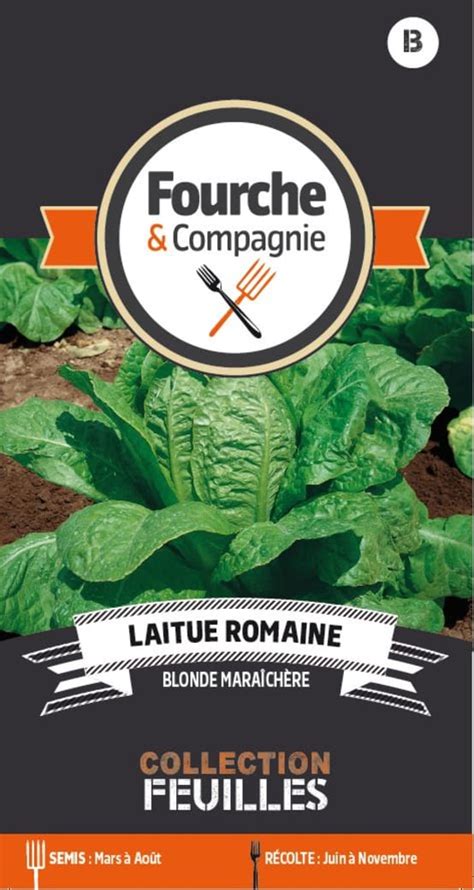 Graines De Laitue Romaine Blonde Maraich Re Jardiland