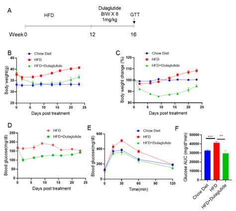 High Fat Diet Induced Obese Dio Mouse Model Biocytogen