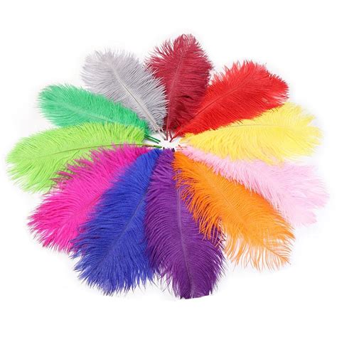 Buy Pcs Natural White Ostrich Feathers For Crafts Cm Wedding