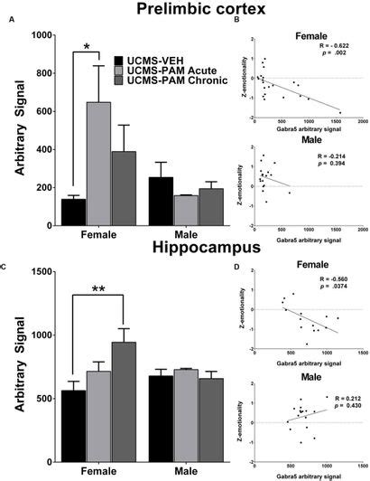 Frontiers Sex Dependent Anti Stress Effect Of An α5 Subunit