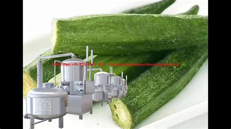 Vacuum Fried Vegetable Chips Vacuum Fryer Youtube