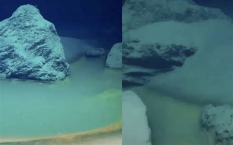 Piscina De La Muerte En El Mar Que Mata Todo Lo Que Toca Enfoque