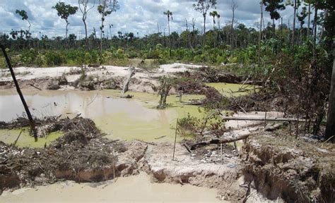 SOS Orinoco Advierte Que Guerrillas Colombianas Participan En Ecocidio