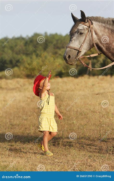 Girl Feeding Horse On Natural Background Stock Photo Image Of Cowboy