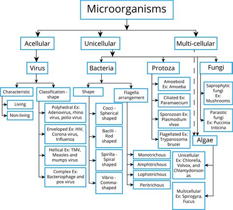 Mind Map — Lesson Science State Board Class 9