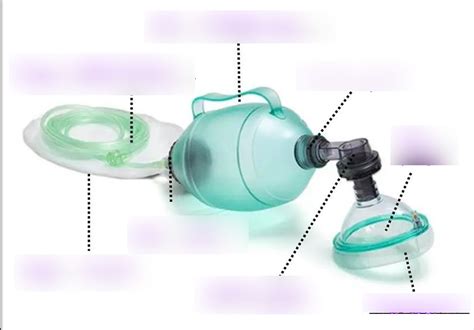 Bag valve mask Diagram | Quizlet