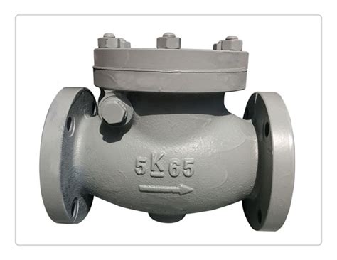 Jis F K Cast Iron Marine Swing Check Valve Marine Check Valve