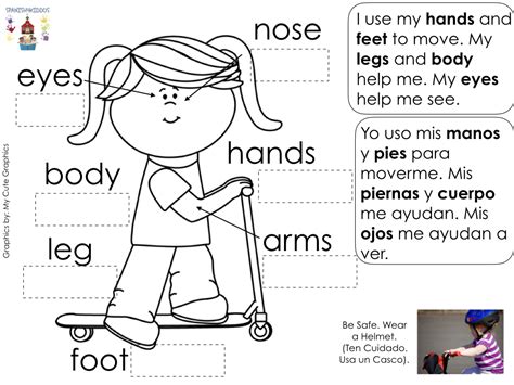 Printable Body Parts In Spanish