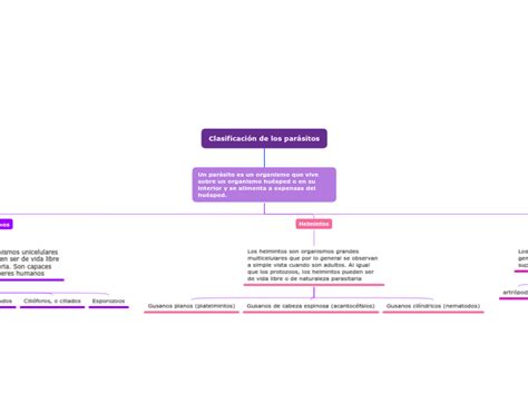 Clasificacion De Los Parasitos Mind Map Sexiz Pix