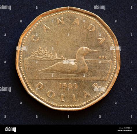 Canadian dollar coin Stock Photo - Alamy