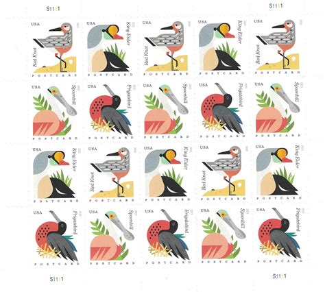 Amazon Coastal Birds Sheet Of Postcard Forever U S Postage