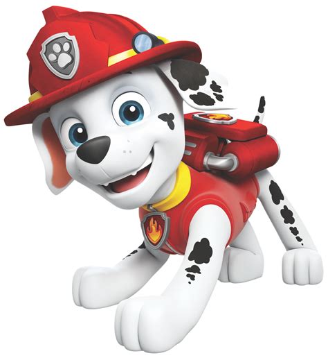 PAW Patrol S Marshall PAW Patrol Friends Official Site Marshall