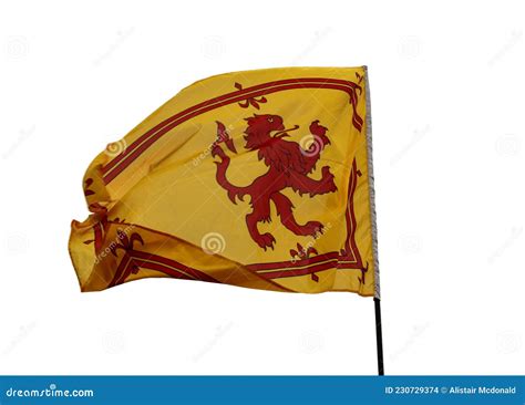 Scottish Royal Flag