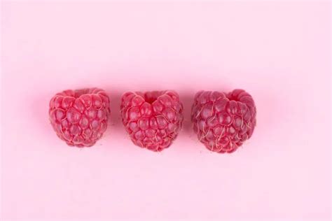 Minimal Pink Fruits Images Libres De Droit Photos De Minimal Pink