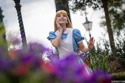 Disney World Announces 800 Alice In Wonderland Themed New Year S Eve