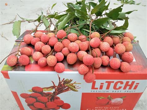 A Grade Shahi Litchi Packaging Size Kg At Rs Box In