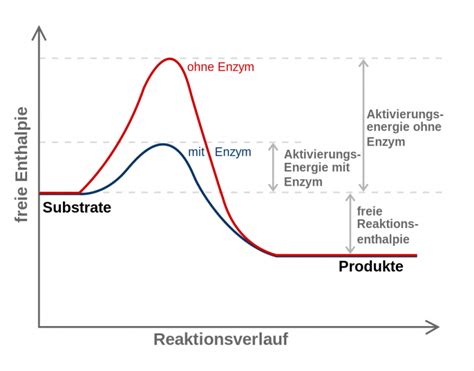 Aktivierungsenergie Wissensplattform