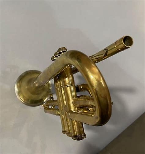 pioneer long cornet   raw brass reverb