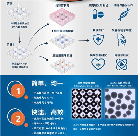 深圳市犀锐生物科技有限公司