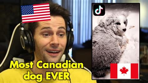 American Reacts To Popular Canadian Tiktoks Part Youtube