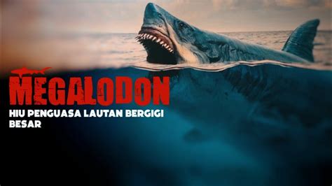 JADI PEMANGSA TERBESAR Megalodon Miliki Gigi Super Besar Dan Kuat