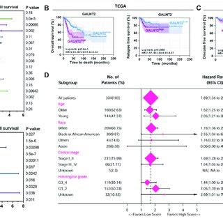 High Expression Of Galnt Predicts Poor Prognosis In Cervical Cancer