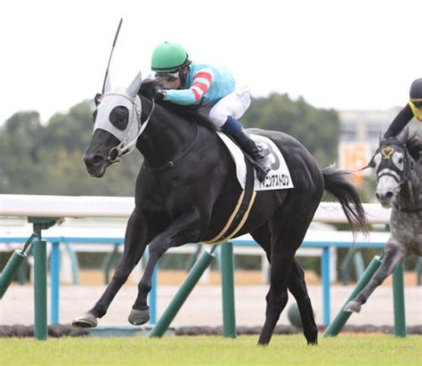 新馬戦快勝ヤマニンアストロン試金石の一戦 石橋師「2回目でどういう競馬をするか」／白梅賞 3歳馬特集 競馬 日刊スポーツ