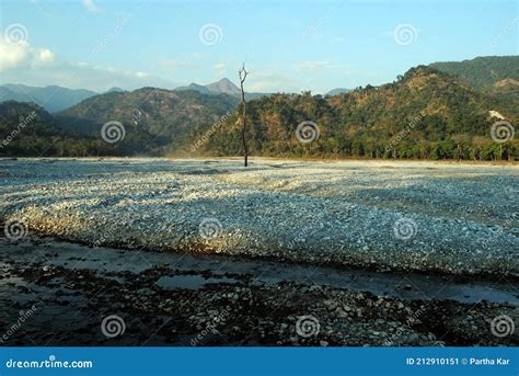 Jayanti River. - The Enchanting Forest Of The Dooars. Stock Photography ...