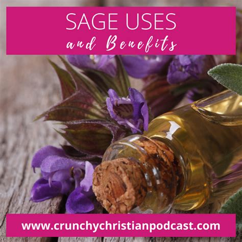 Amazing Sage Uses and Benefits Beyond the Crockpot -UHPN